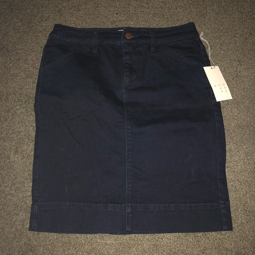Brand New Denim Skirt